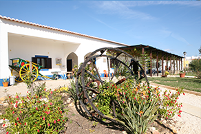 FotoQuinta2