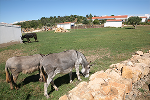 FotoQuinta4