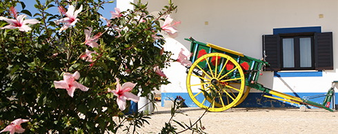 FotoQuinta7