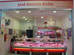 José António Bicho